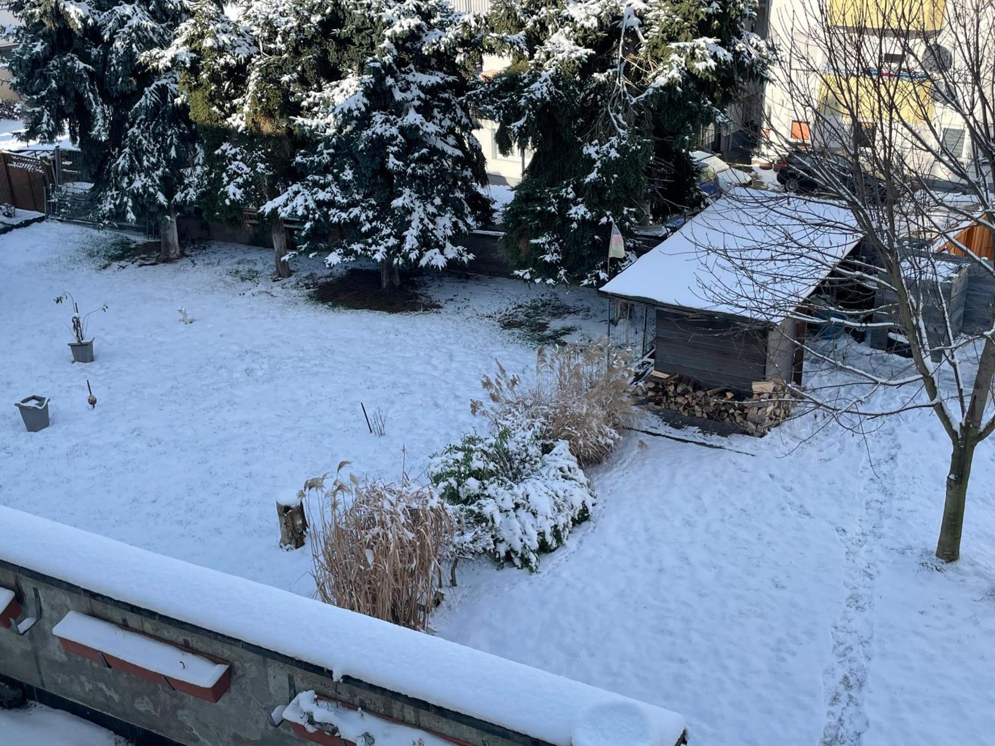 Ferienwohnung Dieblich An Der Mosel エクステリア 写真